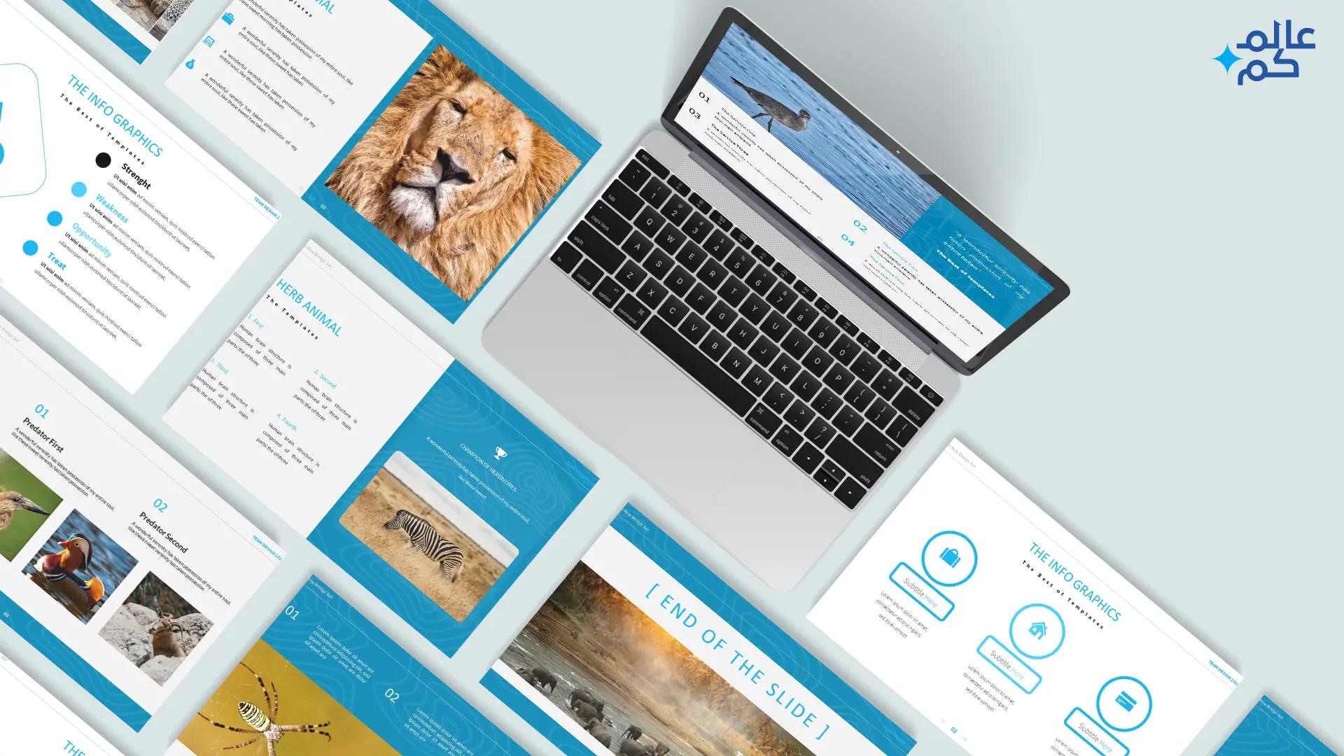 المصغرة (5) قالب بوربوينت 150 شريحة لدروس علم الأحياء والحياة البرية مع ملحقات تصميم متميزة وشرائح انفوجرافيك متميزة