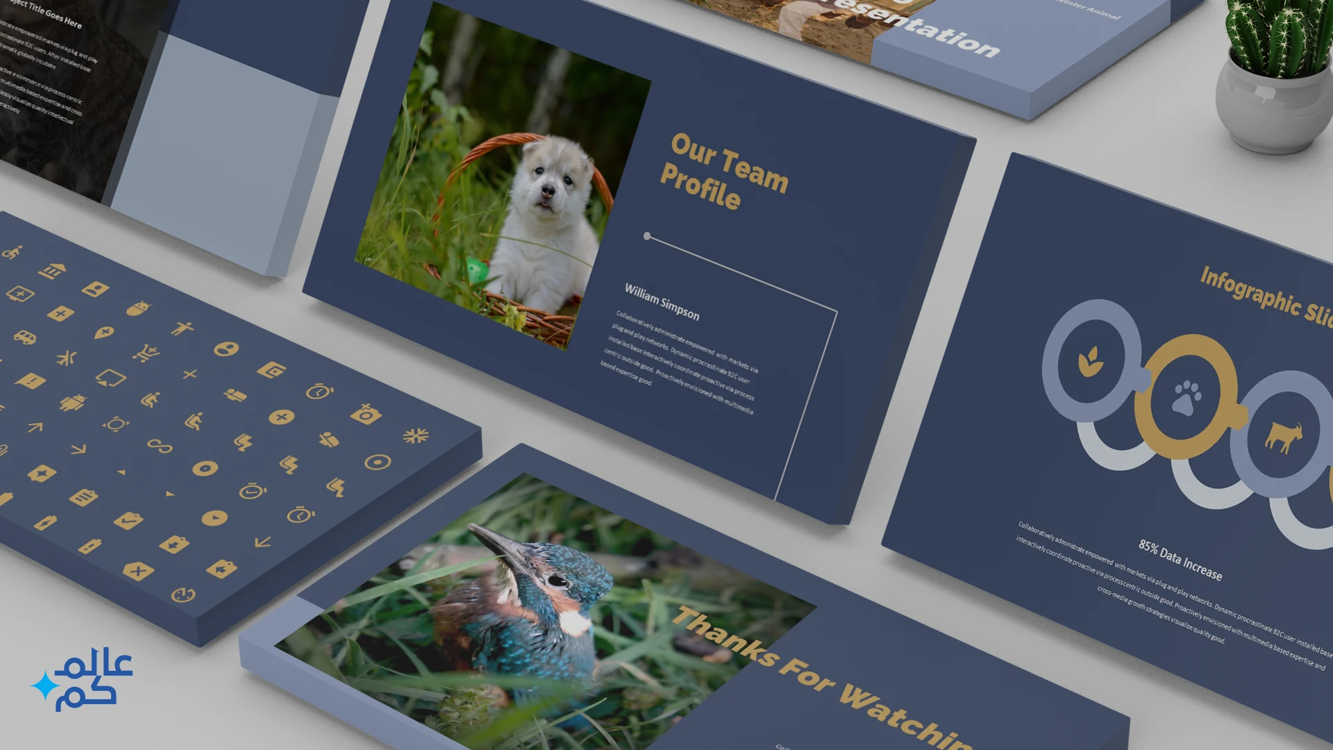 قالب بوربوينت 62 شريحة لدروس علم الأحياء التعليمية للأطفال بأكثر من ثيم لوني مع ملحقات تصميم متميزة وشرائح انفوجرافيك لعرض الأفكار