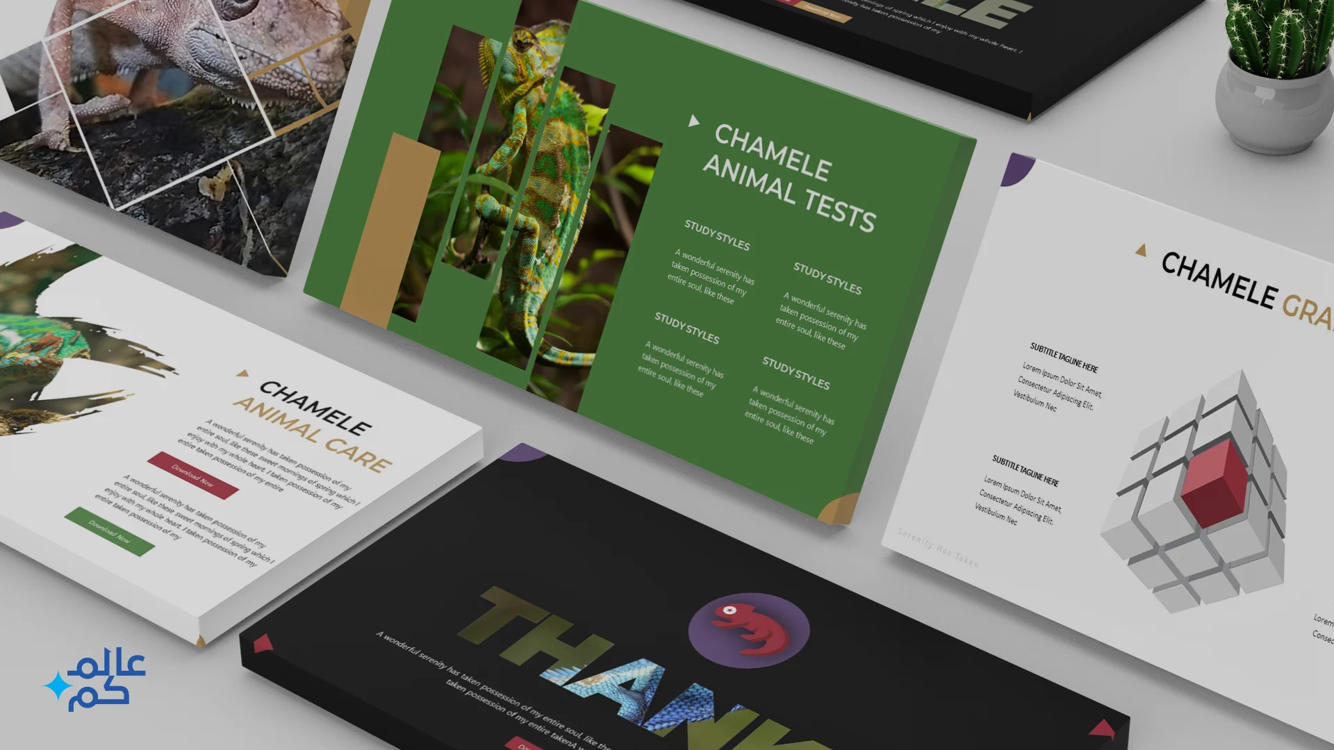 قالب بوربوينت 150 شريحة لدروس علم الأحياء التعليمية للأطفال بأكثر من ثيم لوني مع ملحقات تصميم متميزة وشرائح انفوجرافيك لعرض الأفكار