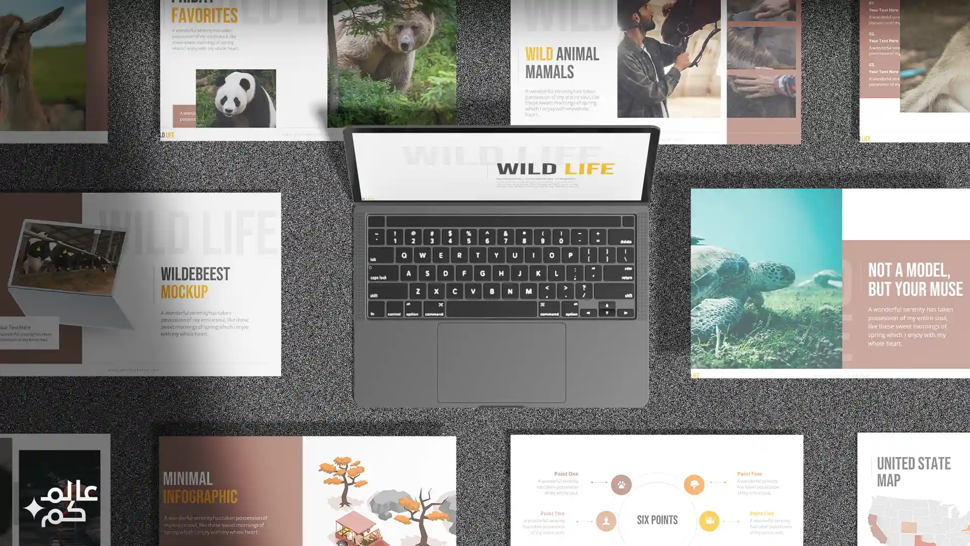 قالب بوربوينت 56 شريحة عن الحياة البرية مع ملحقات تصميم متميزة وشرائح انفوجرافيك لعرض الأفكار